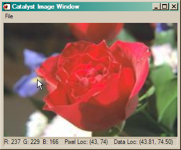 ImgWin with true-color image.