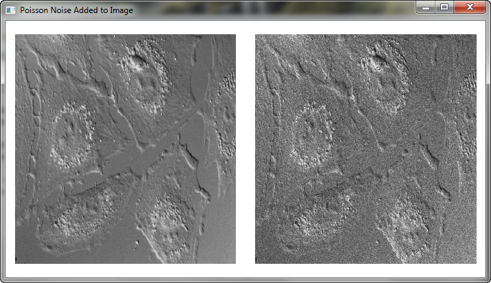 Original image on the left and image with 15% noise added on the right.