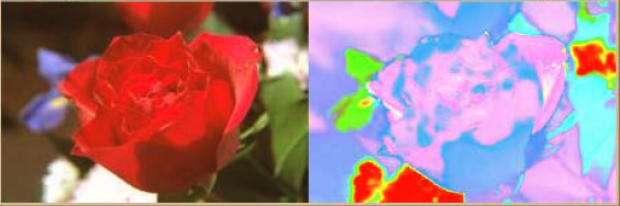 24-bit images are routed through the color table.