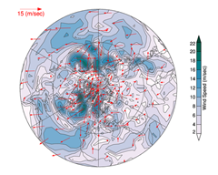 Velocity Vector Plot